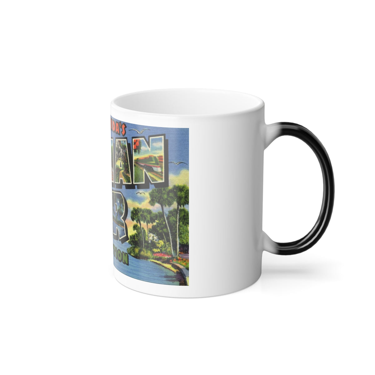 Greetings from Floridas Indian River section (Greeting Postcards) Color Changing Mug 11oz