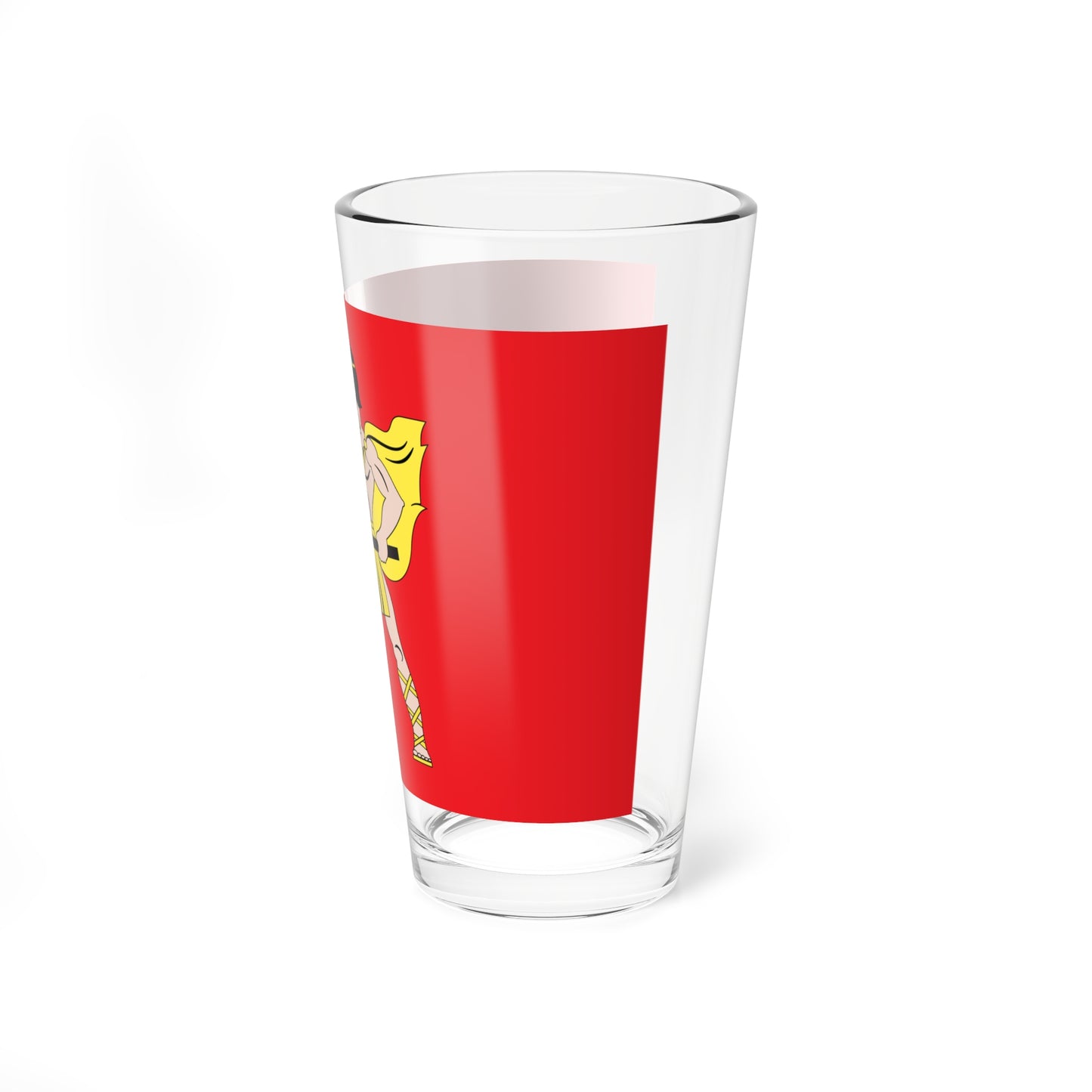 Flag of Elektrostal Moscow oblast (Russia) Pint Glass 16oz