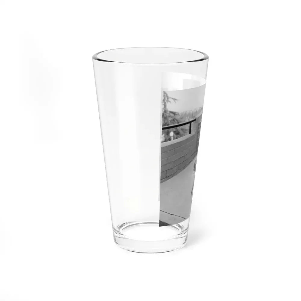 Allison Hayes #190 (Vintage Female Icon) Pint Glass 16oz - Go Mug Yourself