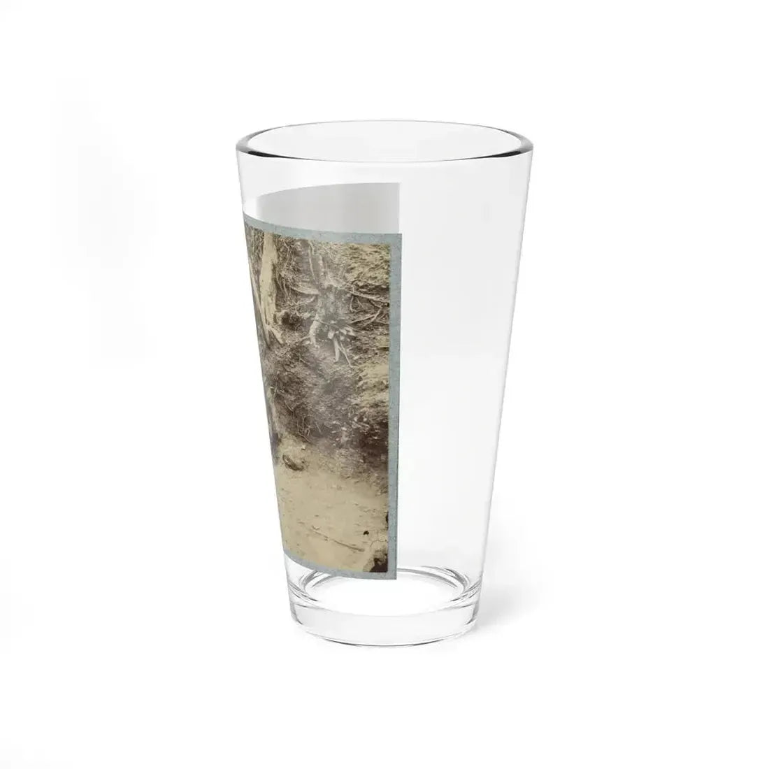 Battlefield Of Chickasaw Bayou, Miss. The Poison Spring, February, 1864 (U.S. Civil War) Pint Glass 16oz - Go Mug Yourself