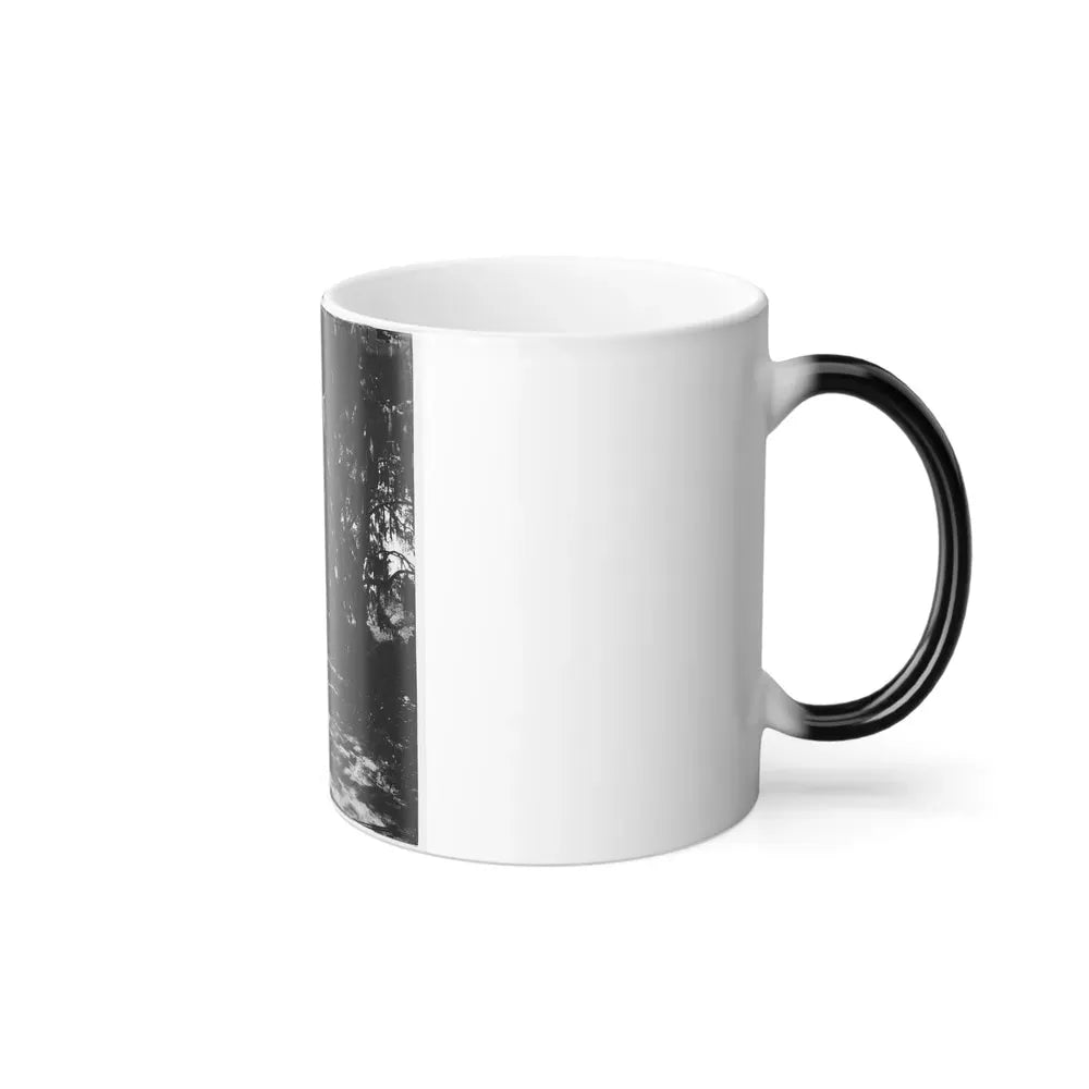 Beaufort, Port Royal Island, South Carolina. Live Oak Avenue Robert B. Rhett's Plantation (U.S. Civil War) Color Changing Coffee Mug 11oz - Go Mug Yourself