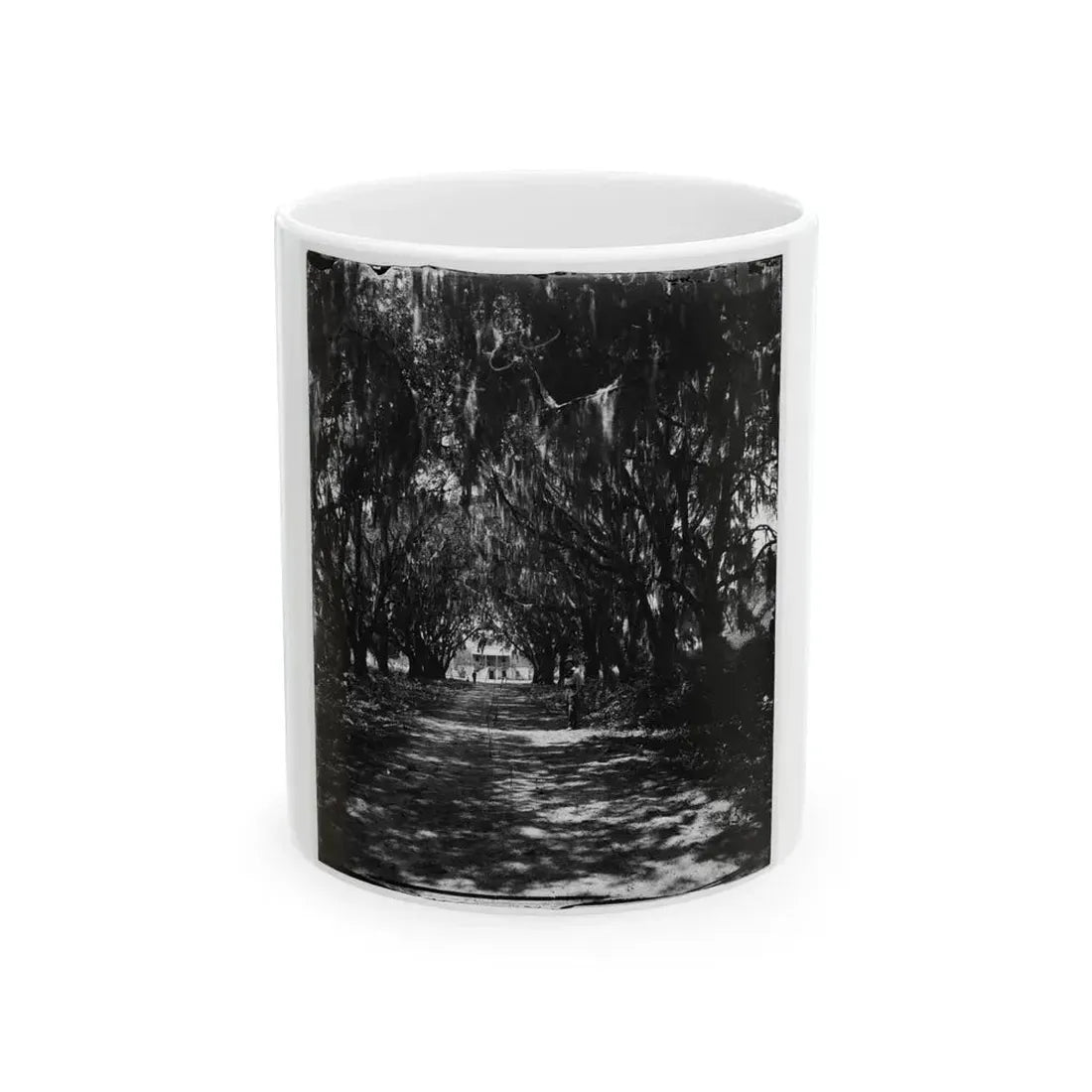 Beaufort, Port Royal Island, South Carolina. Live Oak Avenue Robert B. Rhett's Plantation (U.S. Civil War) White Coffee Mug 11oz - Go Mug Yourself