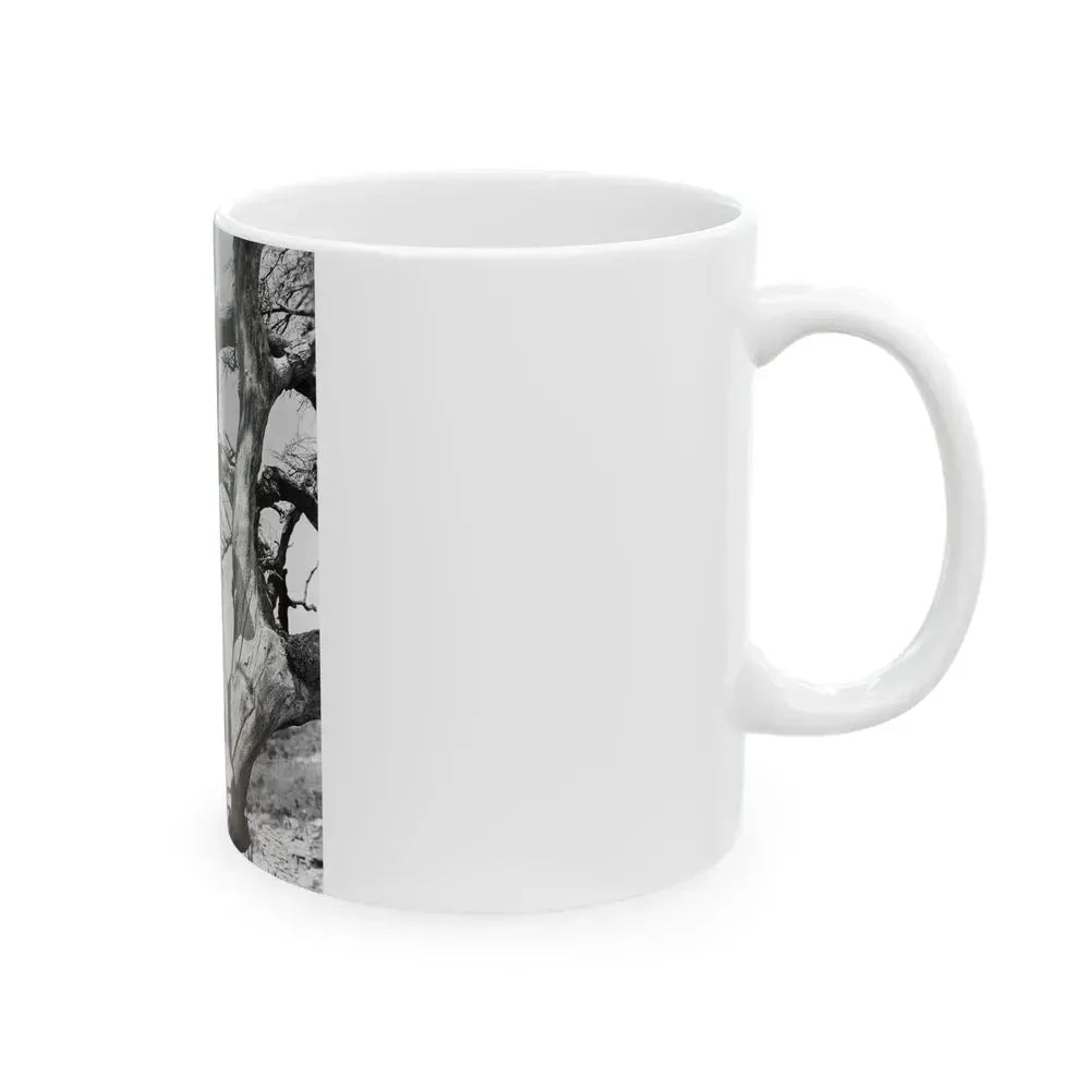 Beverly Garland #84 (Vintage Female Icon) White Coffee Mug - Go Mug Yourself