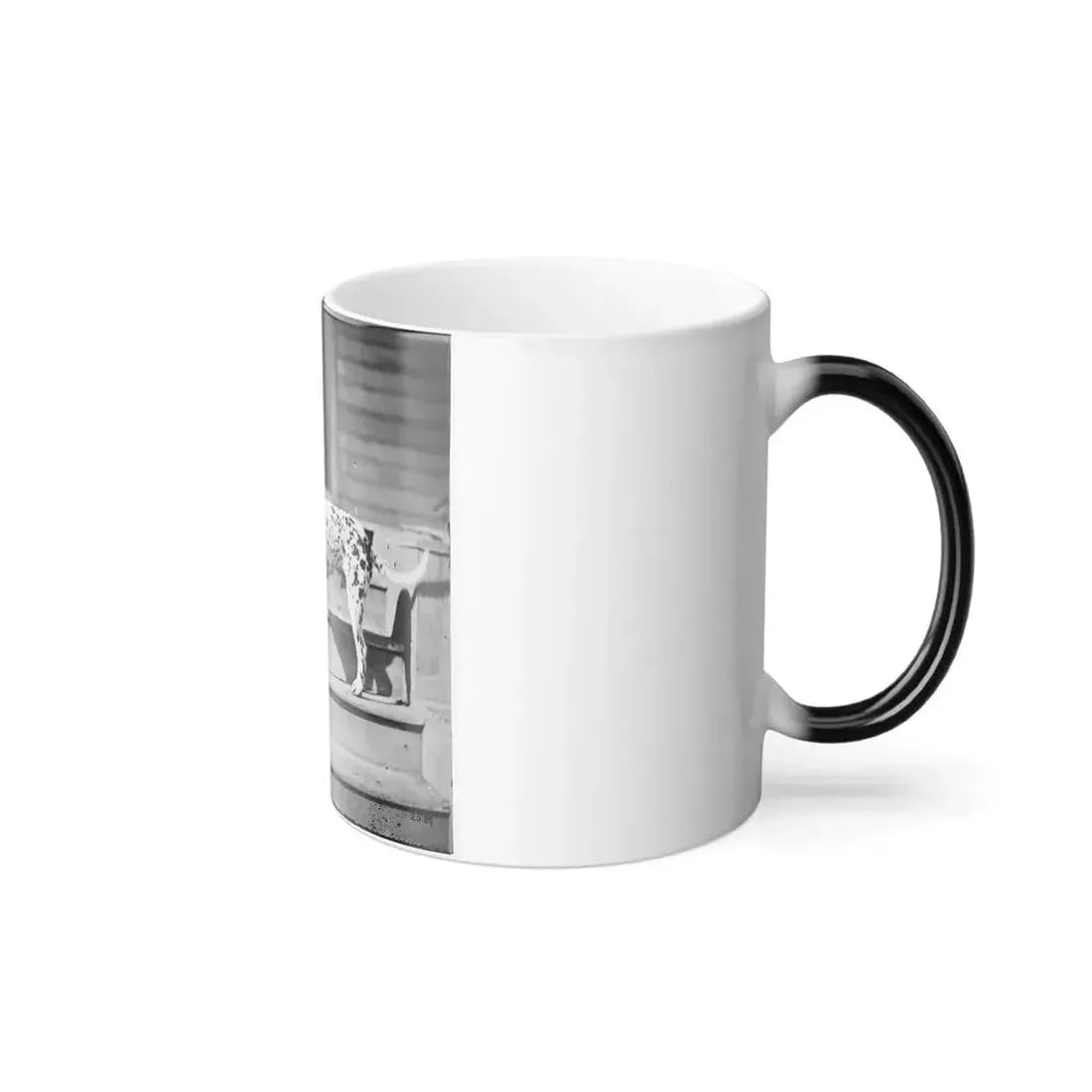 City Point, Virginia. General Rufus Ingall's Coach Dog (U.S. Civil War) Color Changing Coffee Mug 11oz - Go Mug Yourself