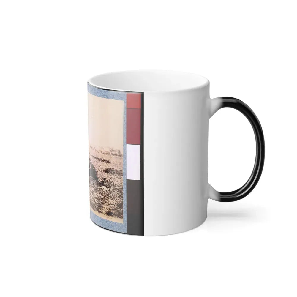 Dead Horse on Battlefield, Gettysburg, Pennsylvania (U.S. Civil War) Color Changing Coffee Mug 11oz - Go Mug Yourself