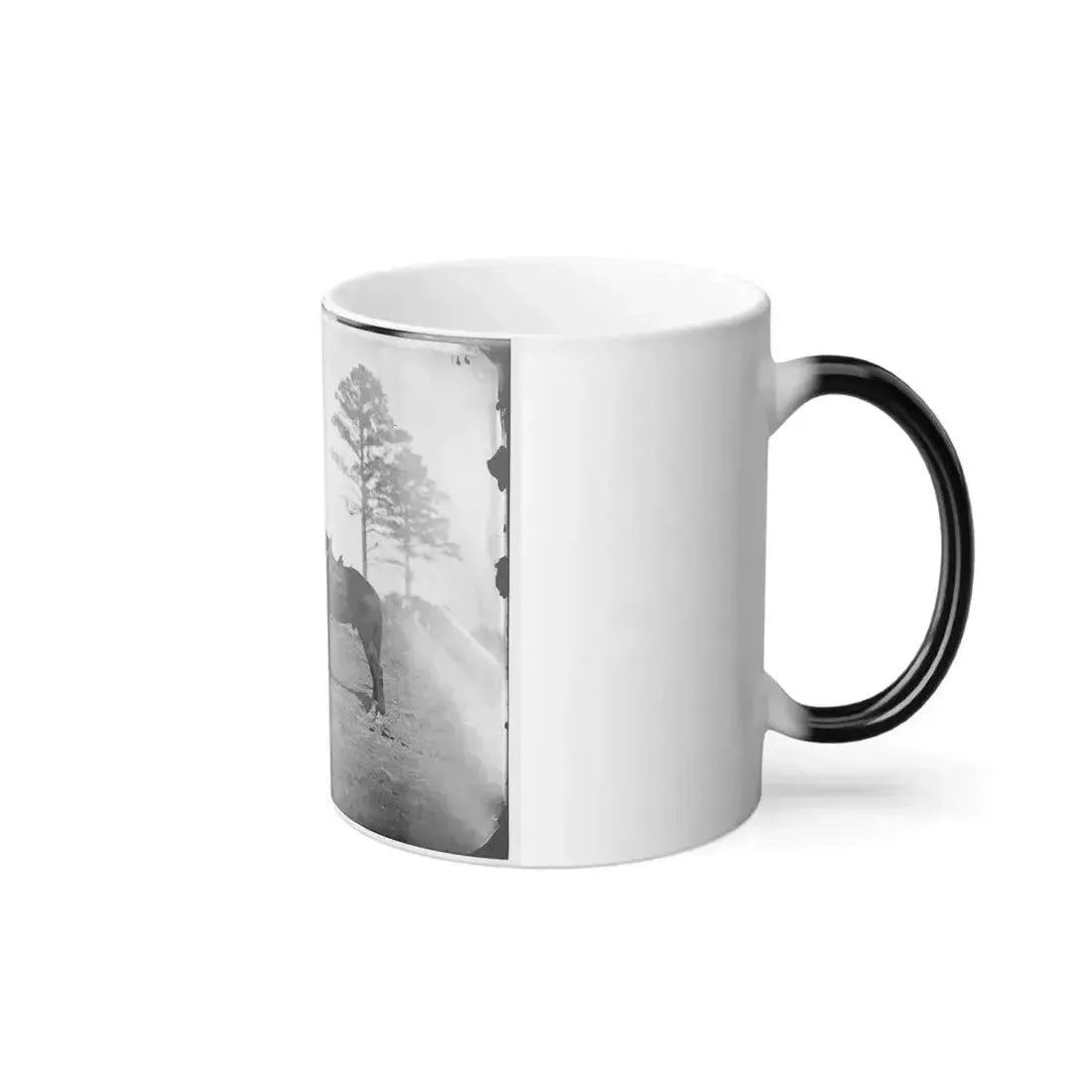 Falmouth, Virginia. Col. George Henry Sharpe's Horses, Headquarters, Army of the Potomac (U.S. Civil War) Color Changing Coffee Mug 11oz - Go Mug Yourself