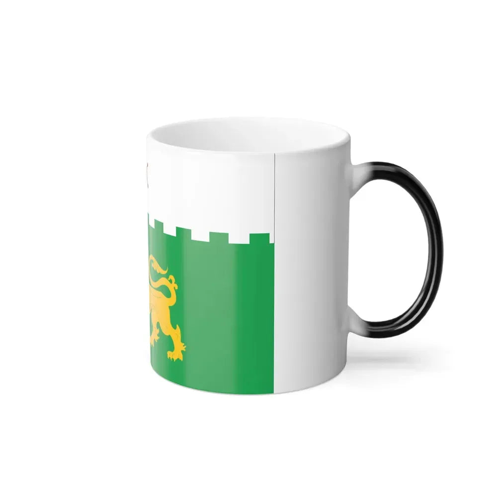 Flag of Akhaltsikhe Georgia - Color Changing Coffee Mug - Go Mug Yourself