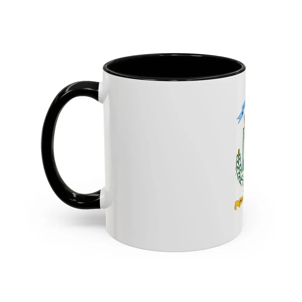 Flag of Alajuela Province Costa Rica - Accent Coffee Mug - Go Mug Yourself