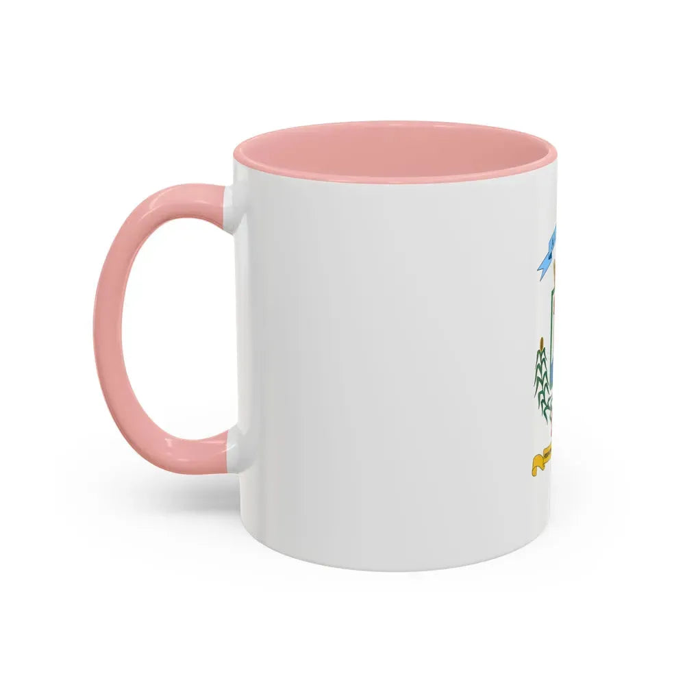 Flag of Alajuela Province Costa Rica - Accent Coffee Mug - Go Mug Yourself