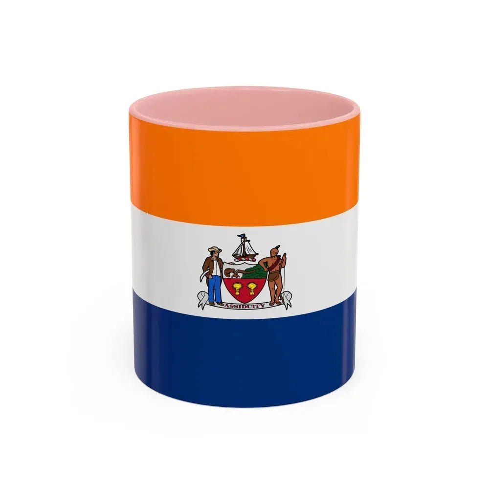 Flag of Albany, New York - Accent Coffee Mug 11oz Pink 11oz - Go Mug Yourself