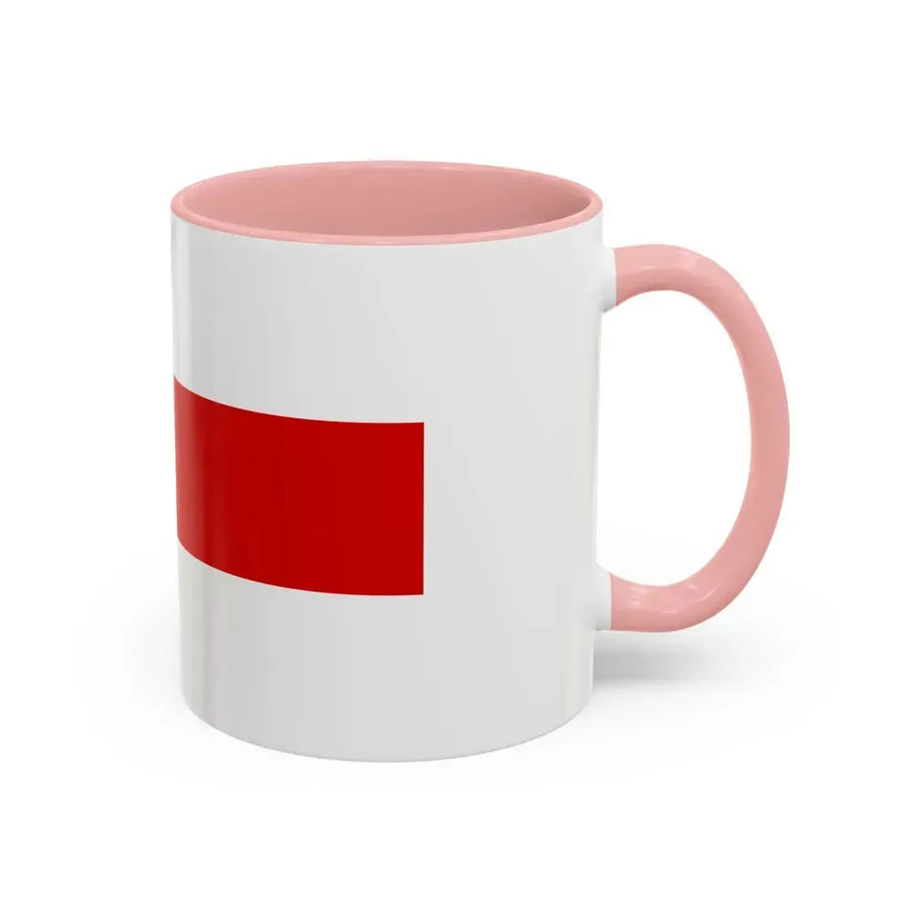 Flag of Amazonas Brazil - Accent Coffee Mug - Go Mug Yourself