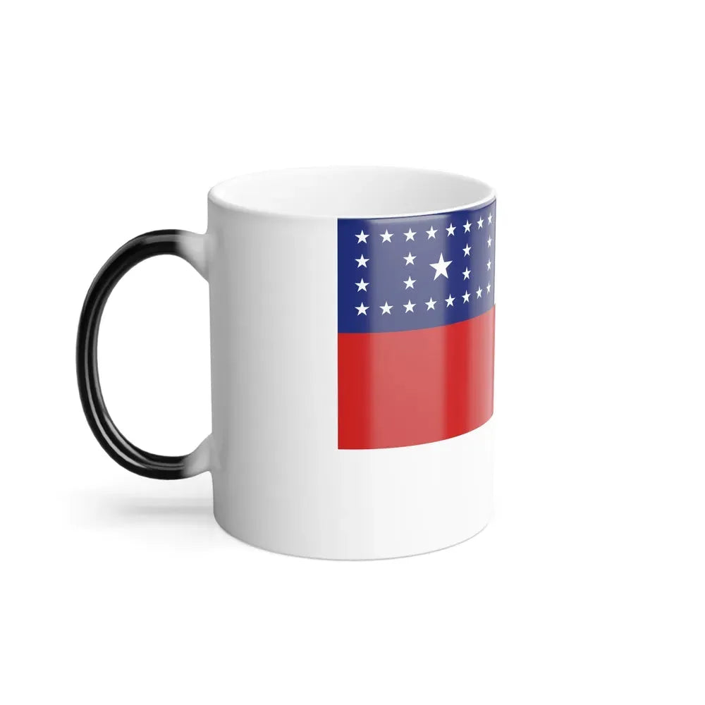 Flag of Amazonas Brazil - Color Changing Coffee Mug - Go Mug Yourself