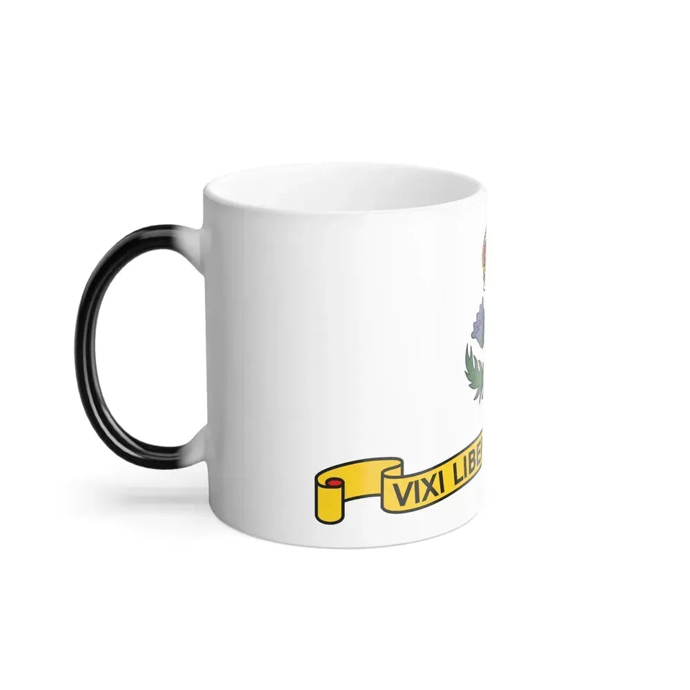 Flag of Annapolis, Maryland - Color Changing Coffee Mug - Go Mug Yourself
