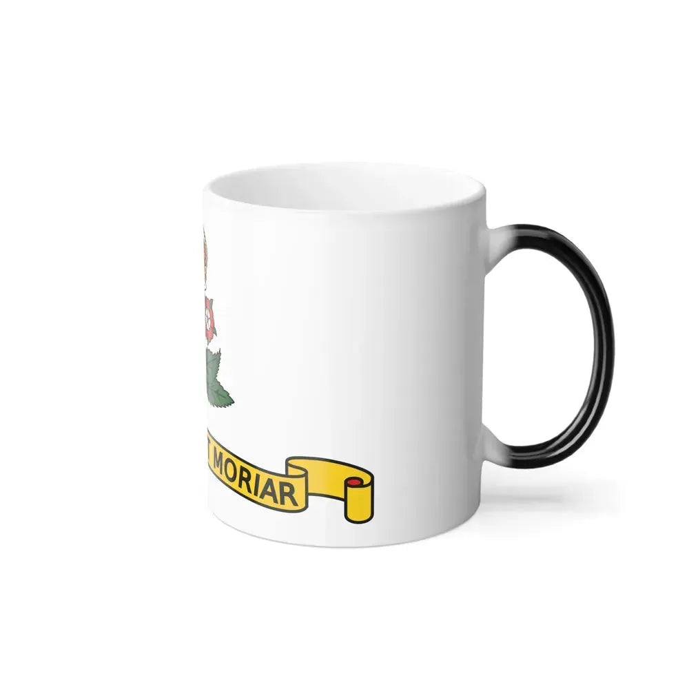 Flag of Annapolis, Maryland - Color Changing Coffee Mug - Go Mug Yourself