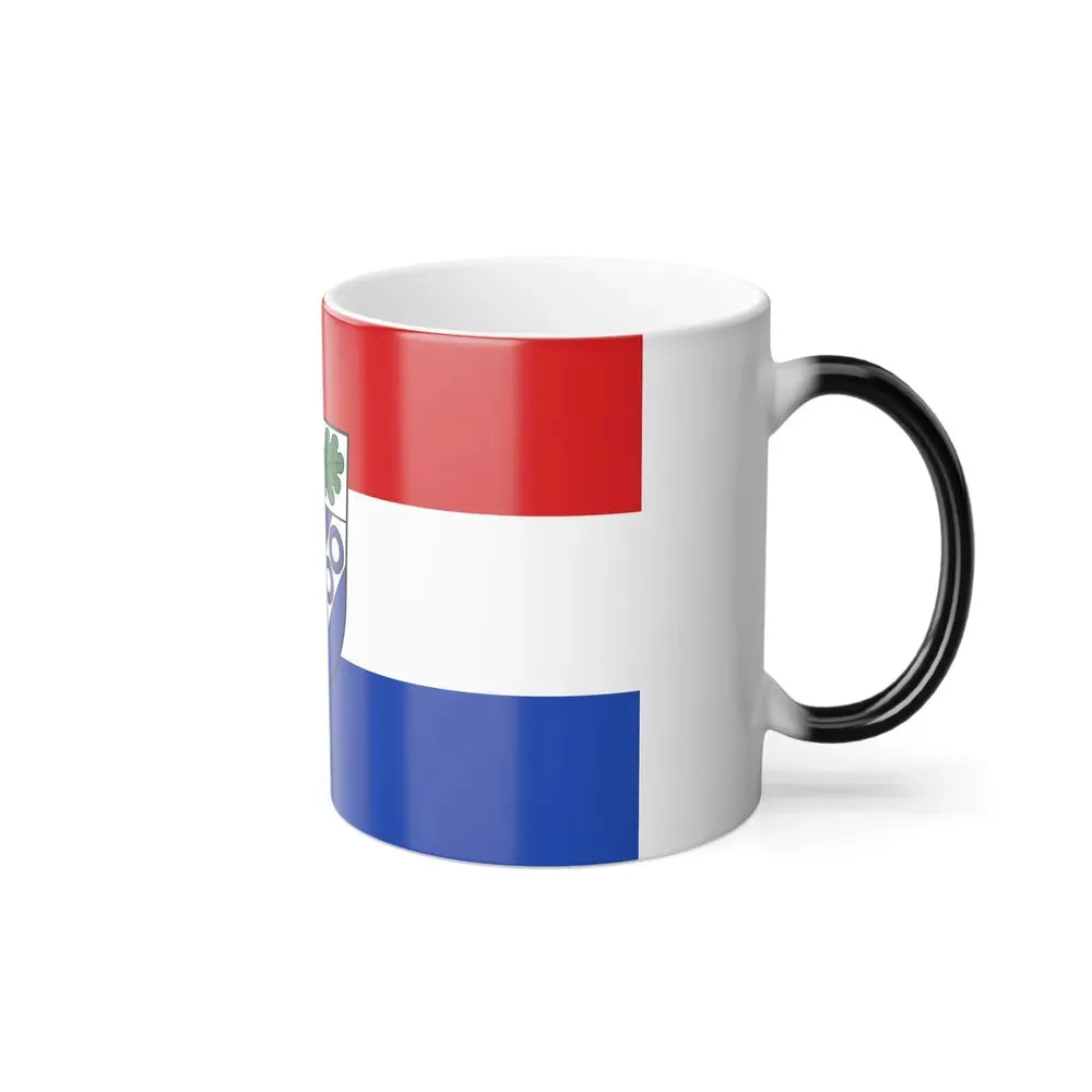 Flag of Aschaffenburg Germany - Color Changing Coffee Mug - Go Mug Yourself