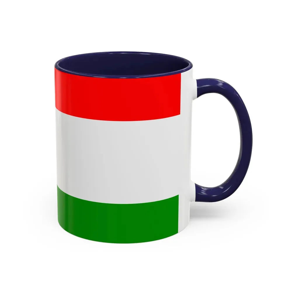 Flag of Central Bosnia Canton Bosnia and Herzegovina - Accent Coffee Mug - Go Mug Yourself