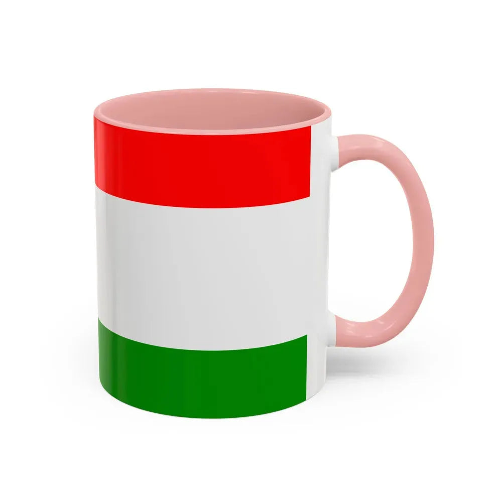 Flag of Central Bosnia Canton Bosnia and Herzegovina - Accent Coffee Mug - Go Mug Yourself