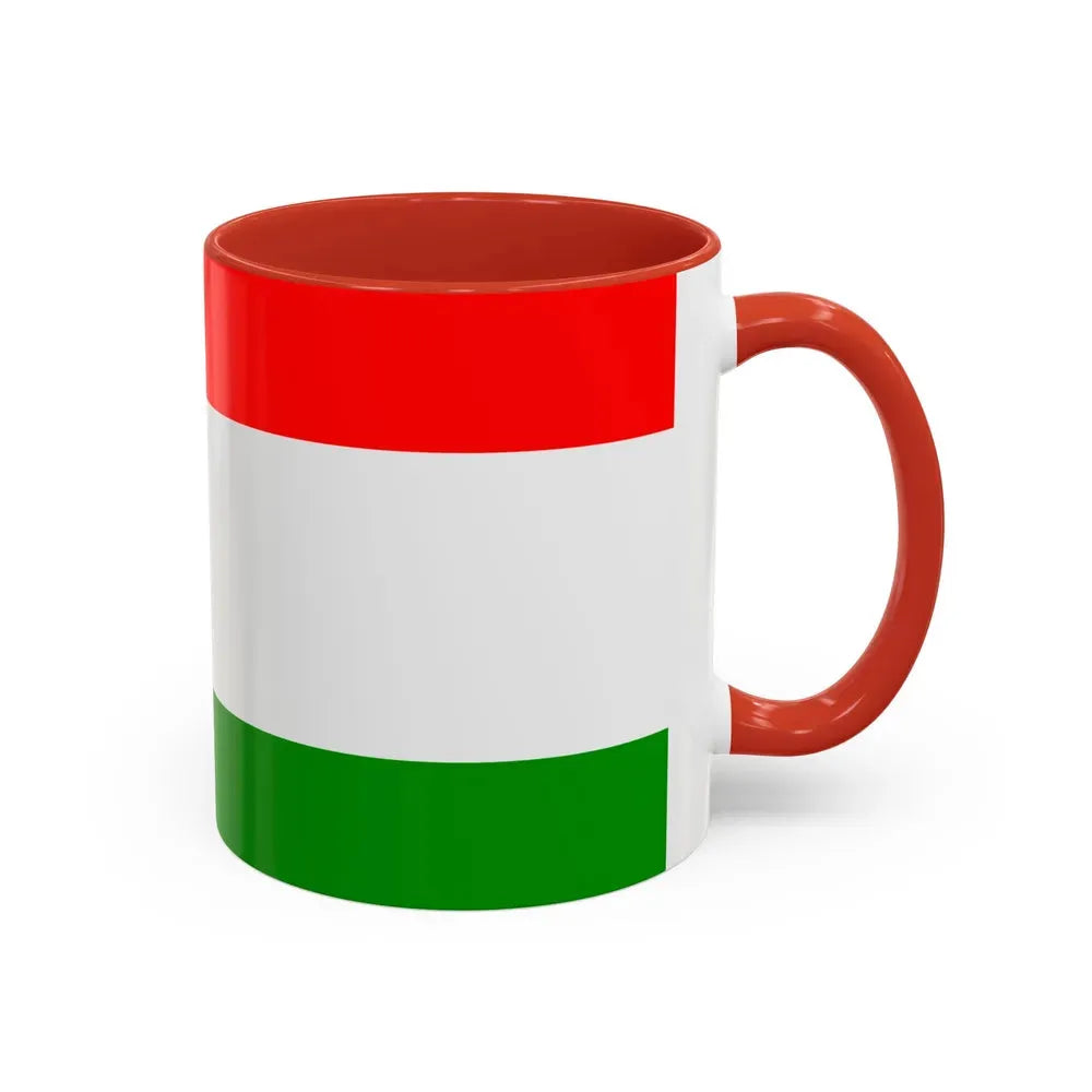 Flag of Central Bosnia Canton Bosnia and Herzegovina - Accent Coffee Mug - Go Mug Yourself