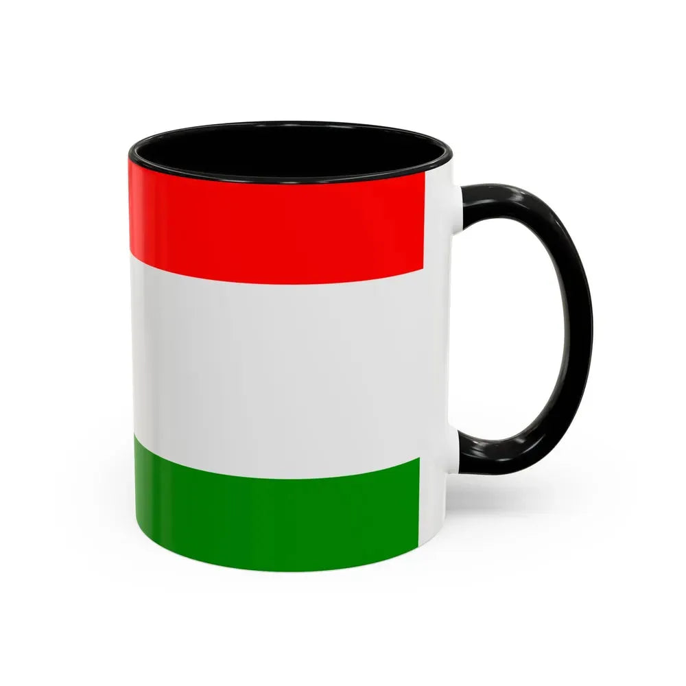 Flag of Central Bosnia Canton Bosnia and Herzegovina - Accent Coffee Mug - Go Mug Yourself
