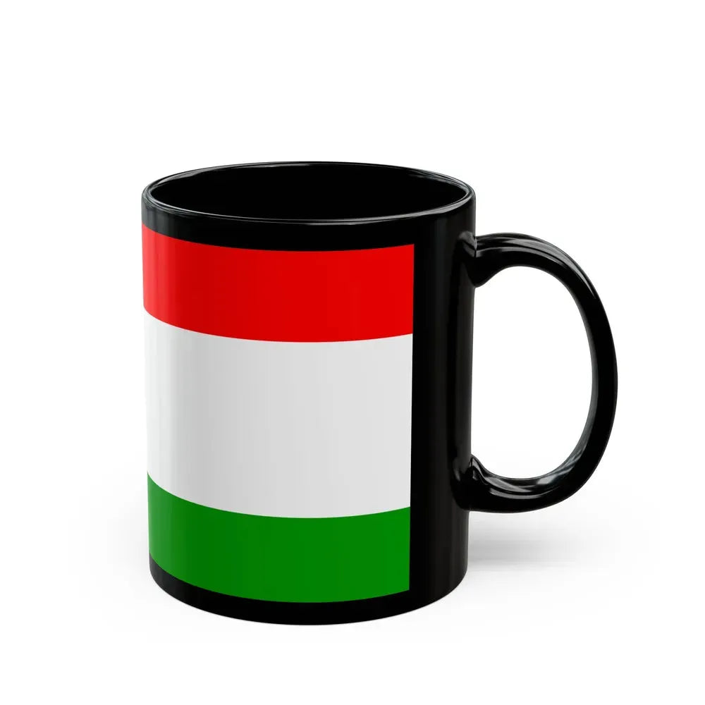 Flag of Central Bosnia Canton Bosnia and Herzegovina - Black Coffee Mug - Go Mug Yourself