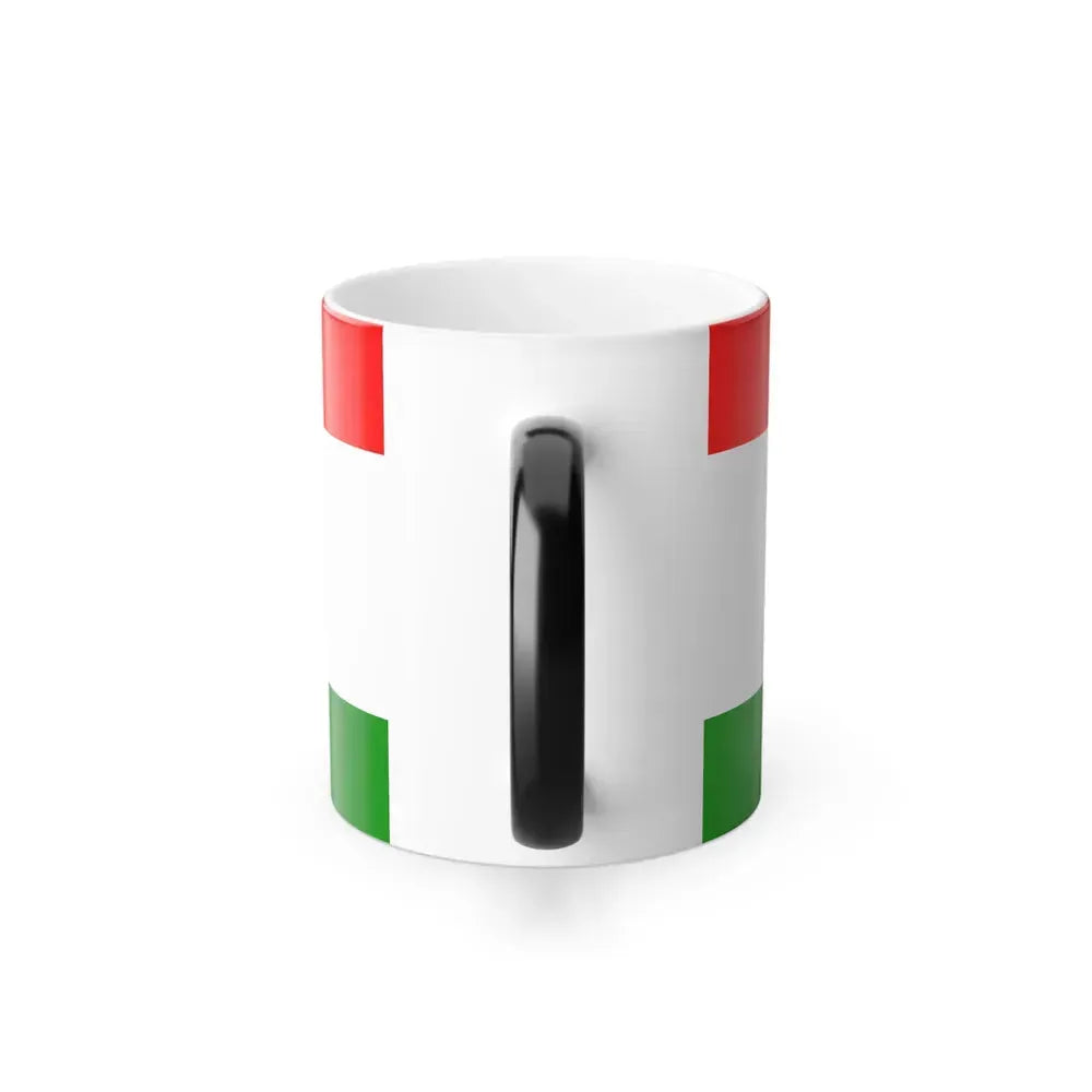 Flag of Central Bosnia Canton Bosnia and Herzegovina - Color Changing Coffee Mug - Go Mug Yourself