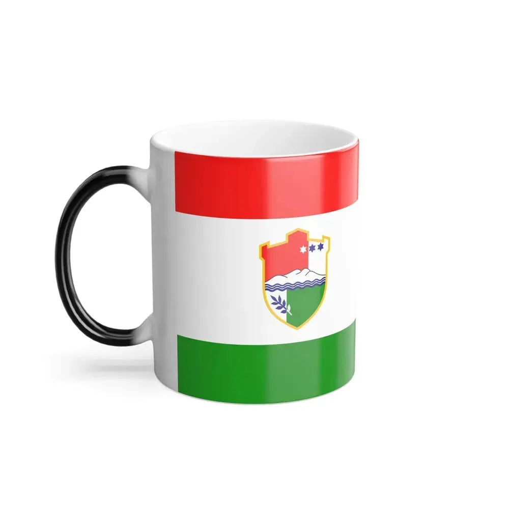 Flag of Central Bosnia Canton Bosnia and Herzegovina - Color Changing Coffee Mug - Go Mug Yourself
