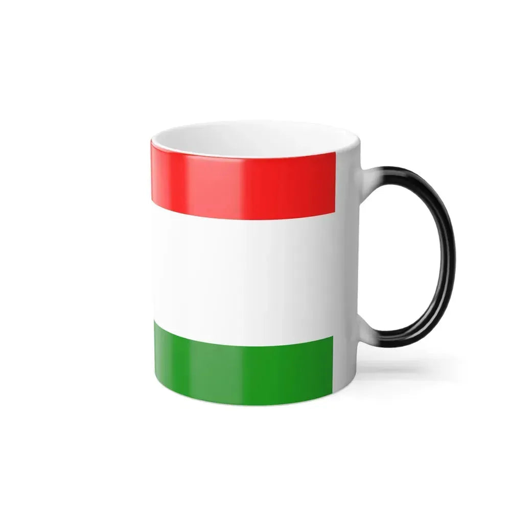 Flag of Central Bosnia Canton Bosnia and Herzegovina - Color Changing Coffee Mug - Go Mug Yourself