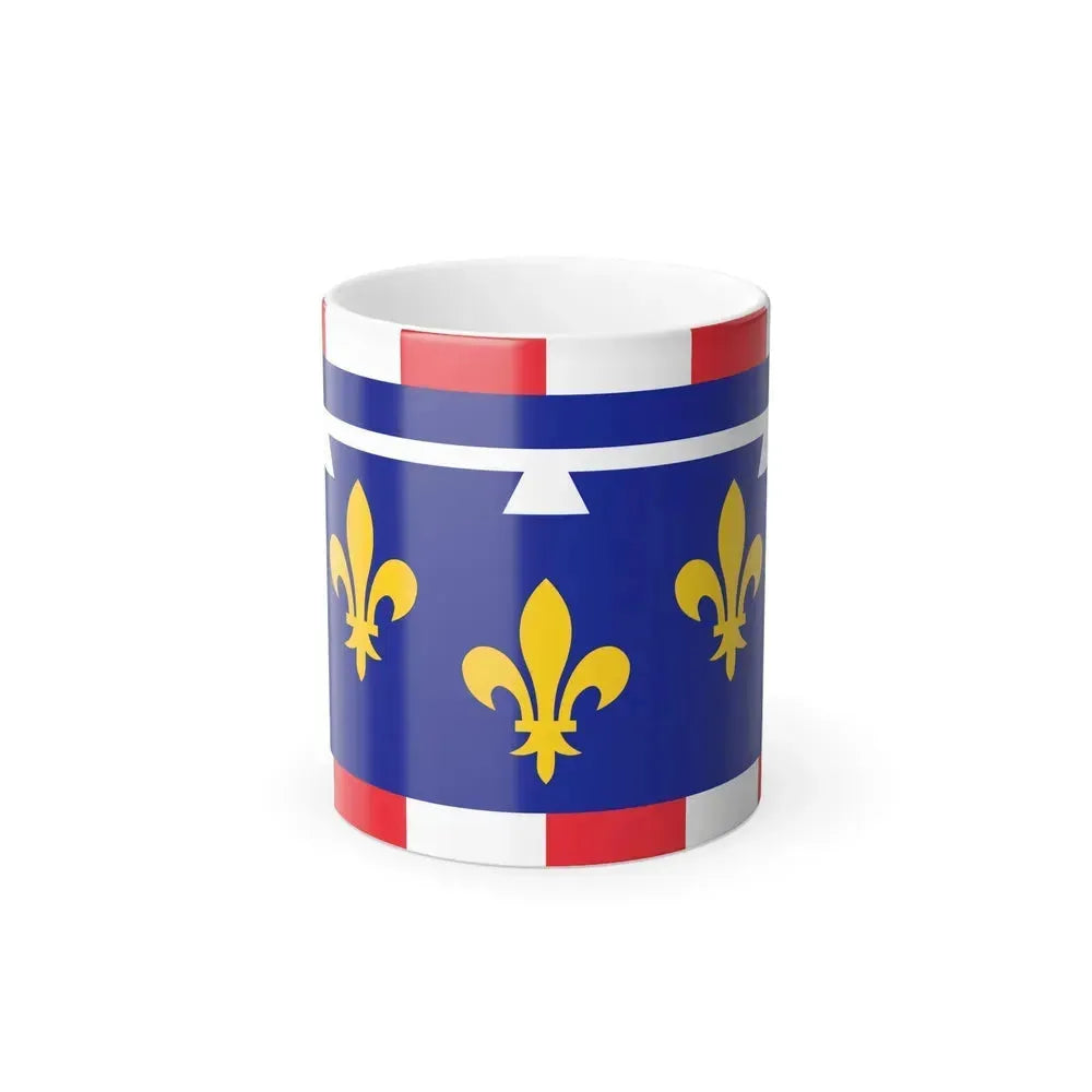 Flag of Centre Val de Loire France 2 - Color Changing Coffee Mug 11oz - Go Mug Yourself