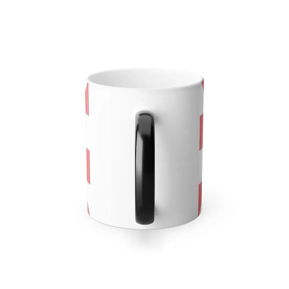 Flag of Centre Val de Loire France 2 - Color Changing Coffee Mug - Go Mug Yourself