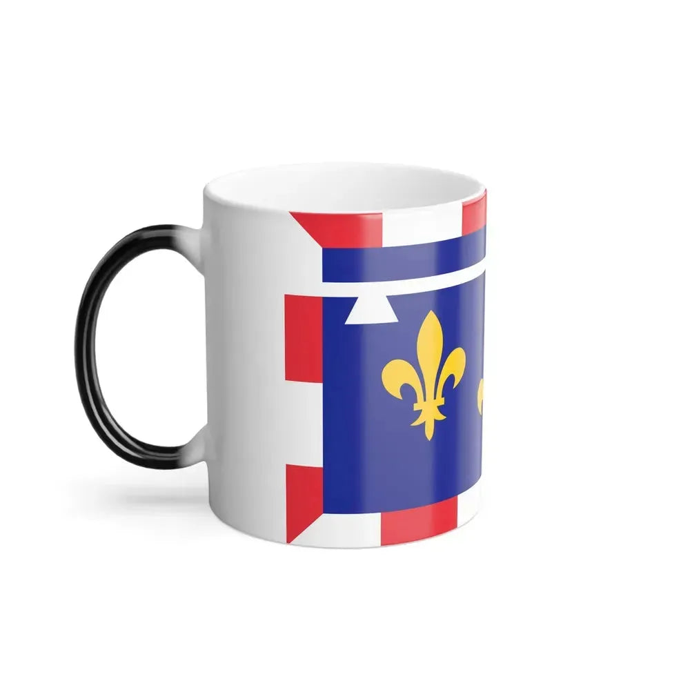 Flag of Centre Val de Loire France 2 - Color Changing Coffee Mug - Go Mug Yourself