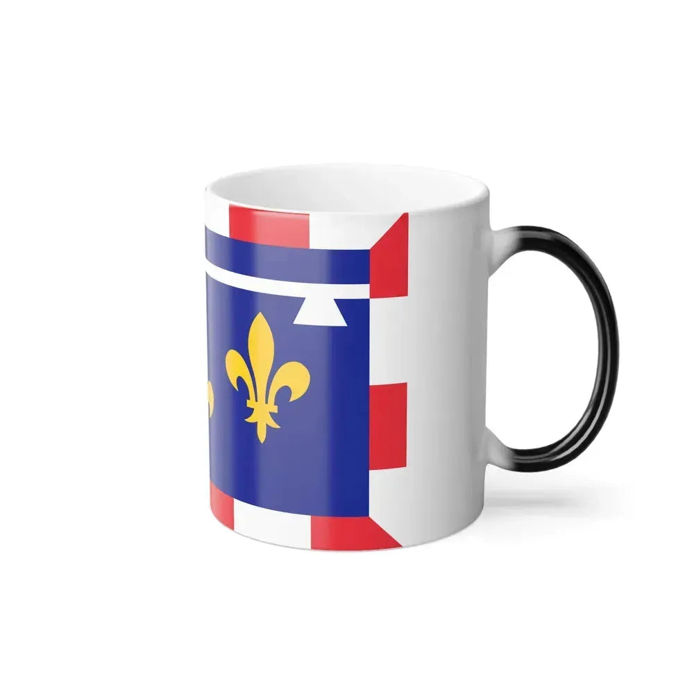 Flag of Centre Val de Loire France 2 - Color Changing Coffee Mug - Go Mug Yourself