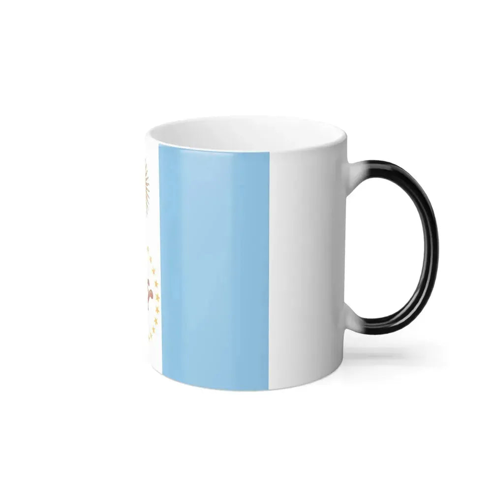 Flag of Chaco Province Argentina - Color Changing Coffee Mug - Go Mug Yourself