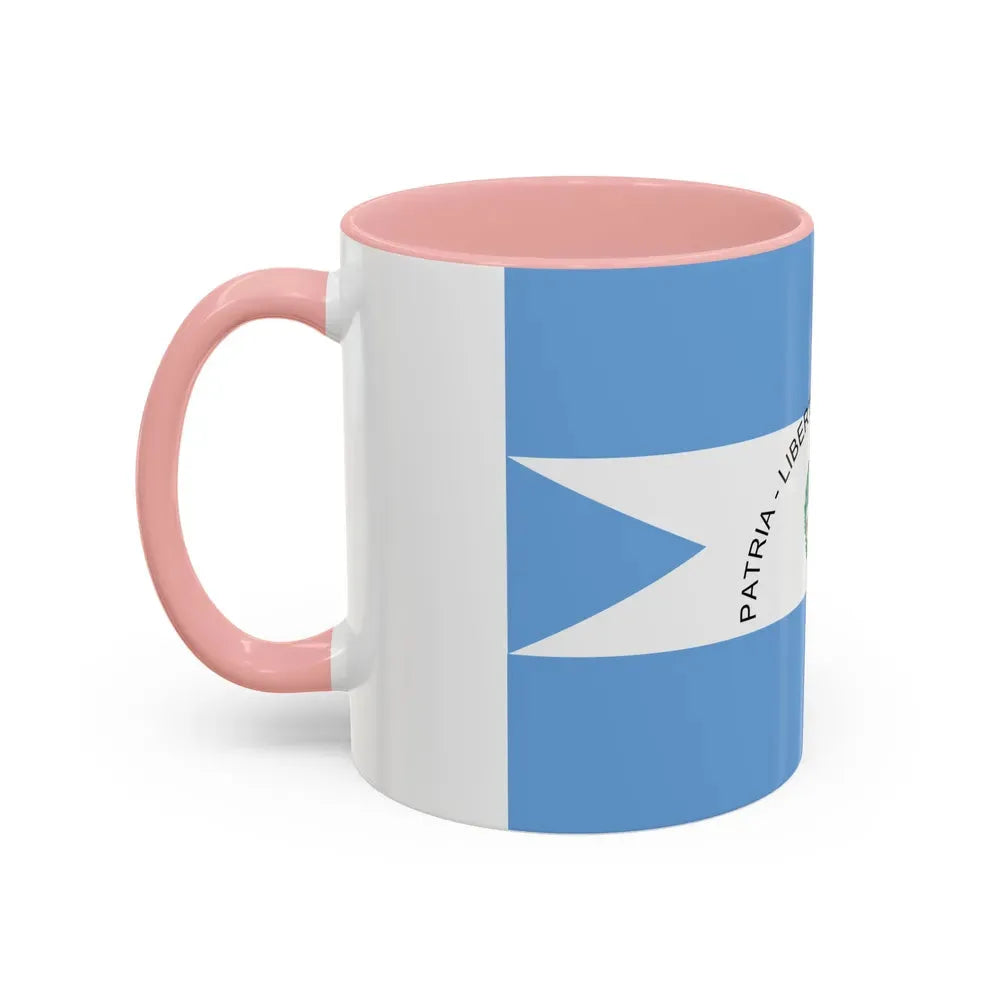 Flag of Corrientes Province Argentina - Accent Coffee Mug - Go Mug Yourself