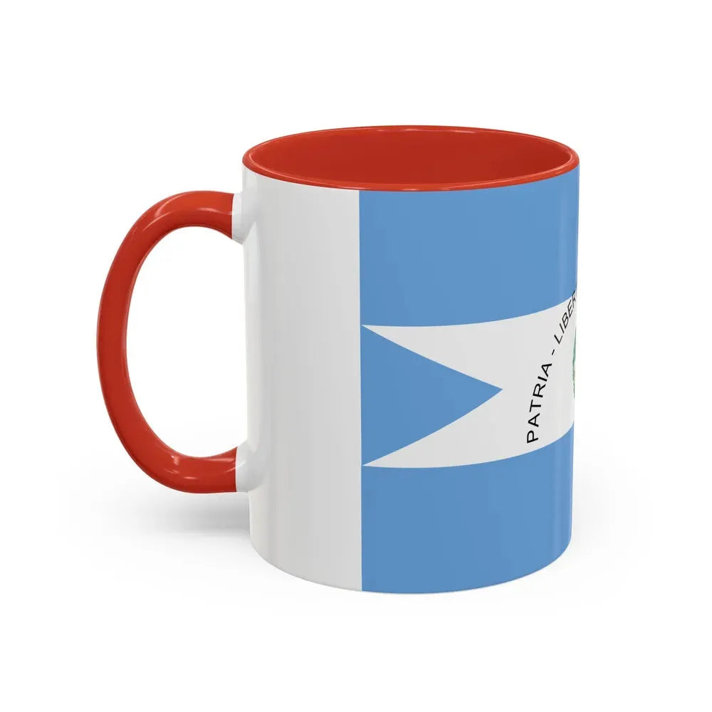 Flag of Corrientes Province Argentina - Accent Coffee Mug - Go Mug Yourself