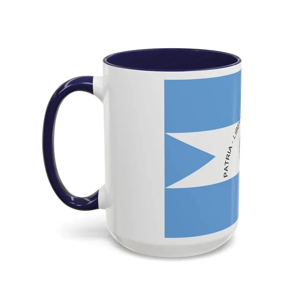 Flag of Corrientes Province Argentina - Accent Coffee Mug - Go Mug Yourself