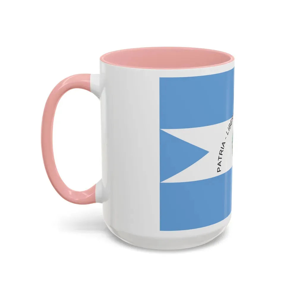 Flag of Corrientes Province Argentina - Accent Coffee Mug - Go Mug Yourself