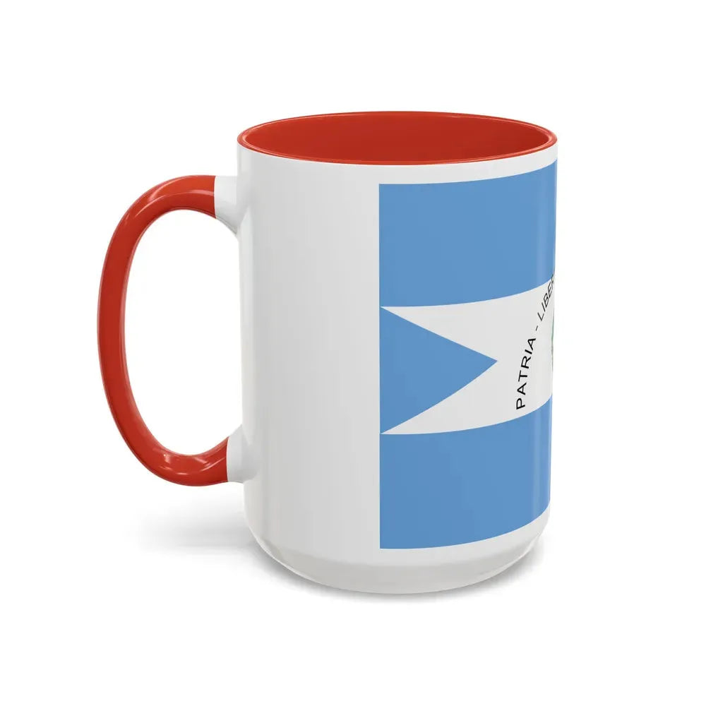 Flag of Corrientes Province Argentina - Accent Coffee Mug - Go Mug Yourself