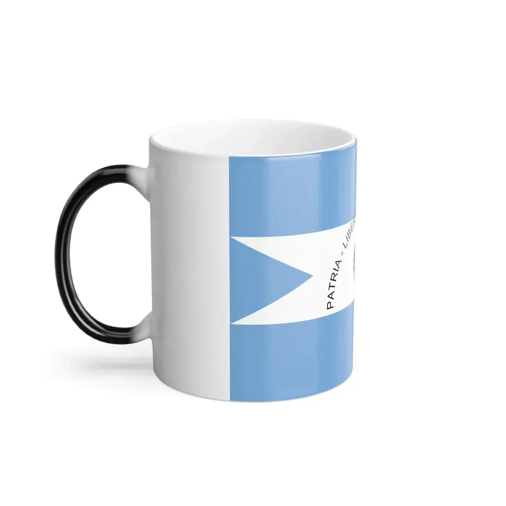 Flag of Corrientes Province Argentina - Color Changing Coffee Mug - Go Mug Yourself