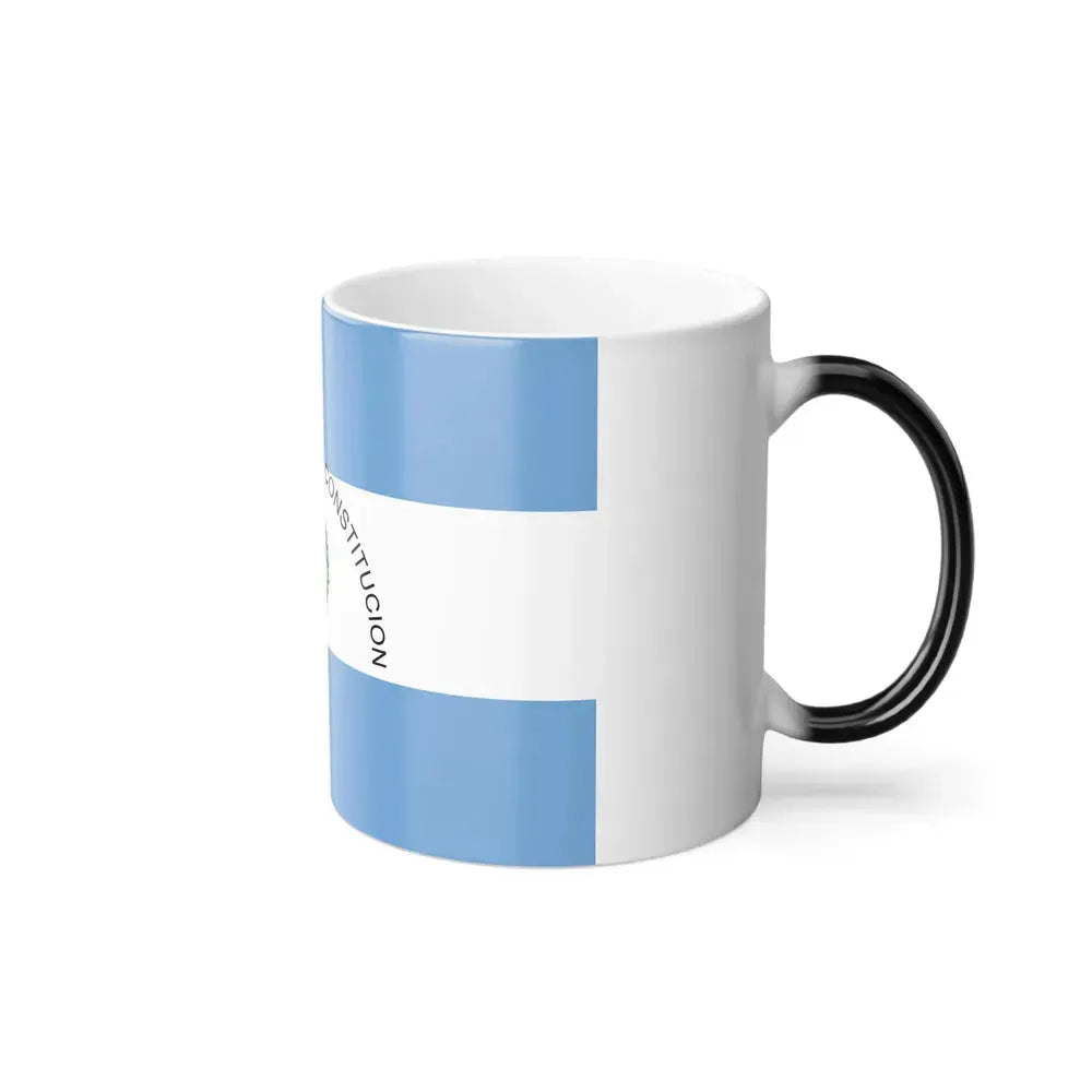 Flag of Corrientes Province Argentina - Color Changing Coffee Mug - Go Mug Yourself