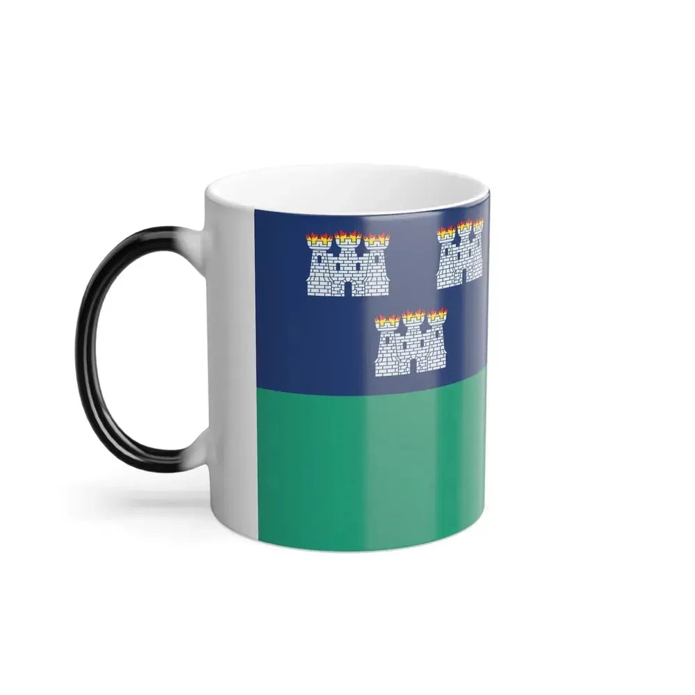 Flag of Dublin City Ireland - Color Changing Coffee Mug - Go Mug Yourself
