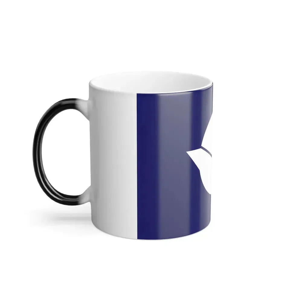 Flag of Edogawa Tokyo Japan - Color Changing Coffee Mug - Go Mug Yourself