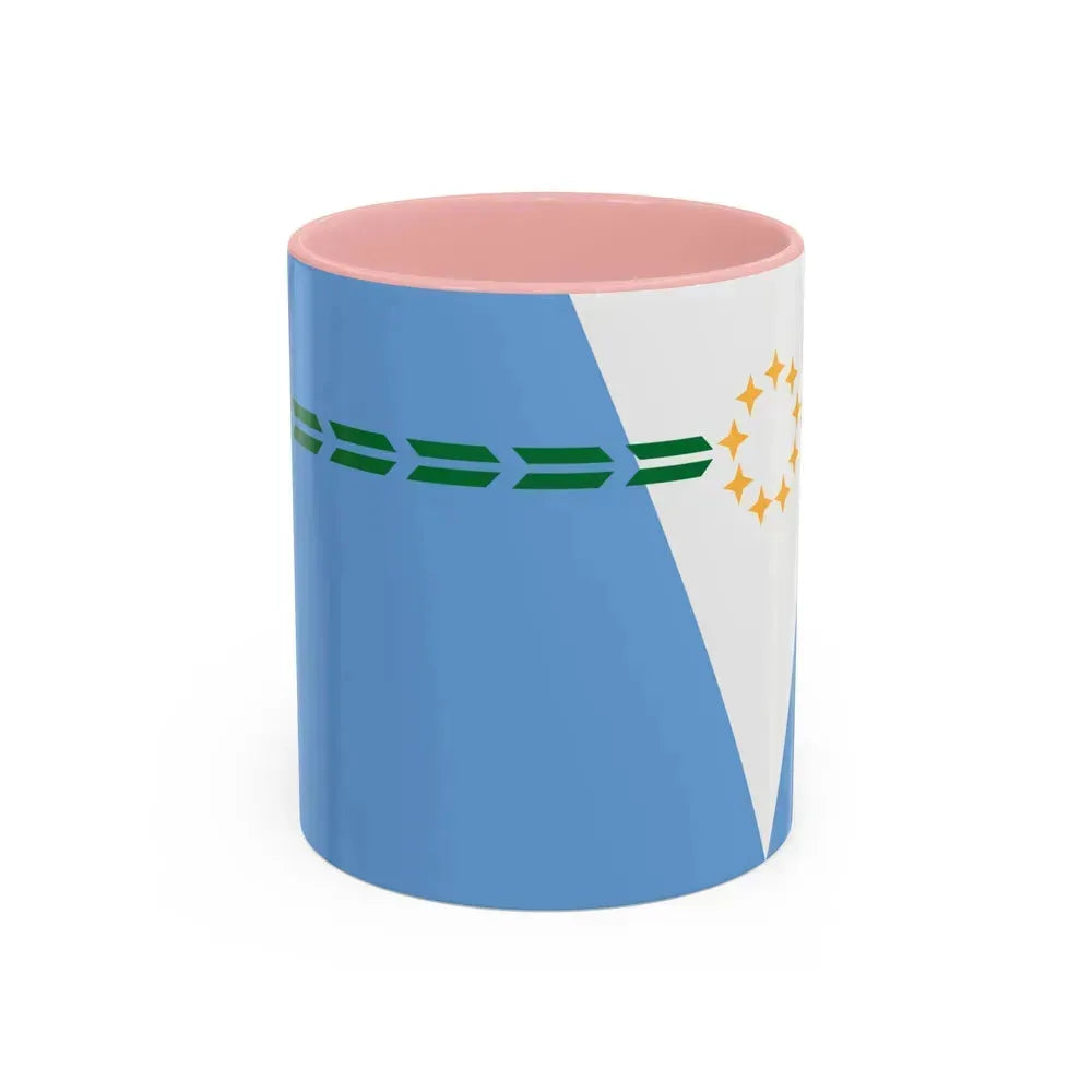 Flag of Formosa Province Argentina - Accent Coffee Mug 11oz Pink - Go Mug Yourself