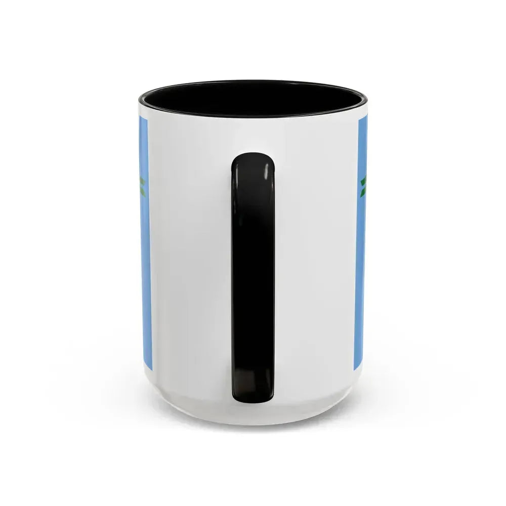 Flag of Formosa Province Argentina - Accent Coffee Mug - Go Mug Yourself