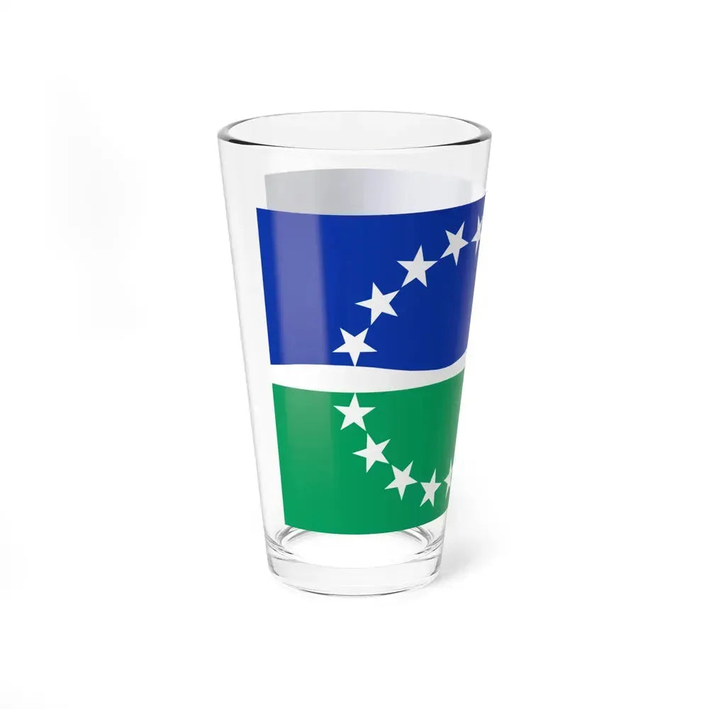Flag of Hampton Roads, Virginia - Pint Glass 16oz - Go Mug Yourself