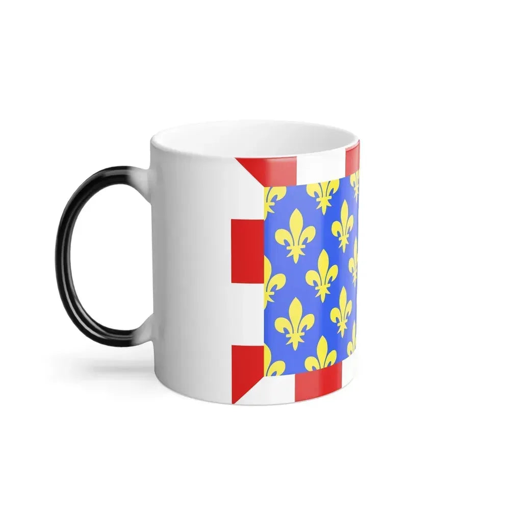 Flag of Indre et Loire France - Color Changing Coffee Mug - Go Mug Yourself