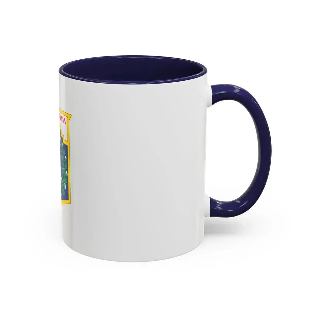 Flag of Jakarta Indonesia - Accent Coffee Mug - Go Mug Yourself