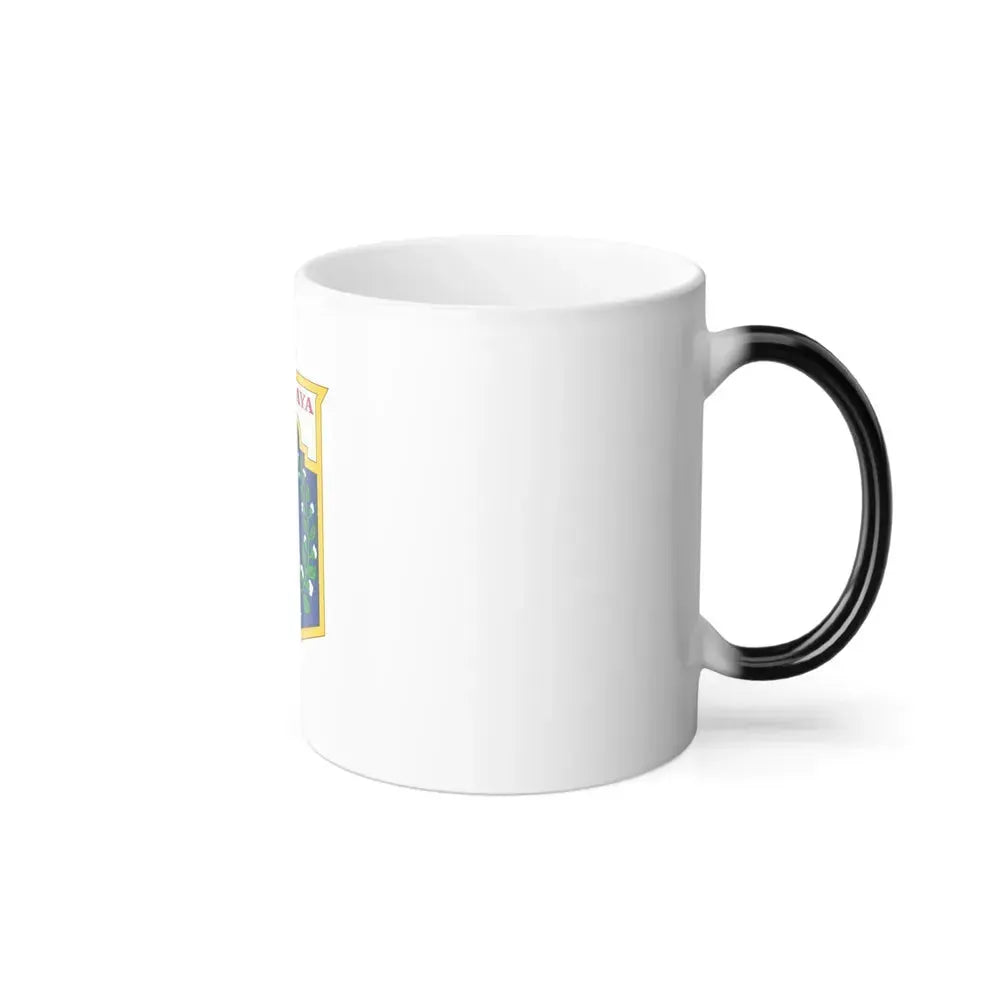 Flag of Jakarta Indonesia - Color Changing Coffee Mug - Go Mug Yourself