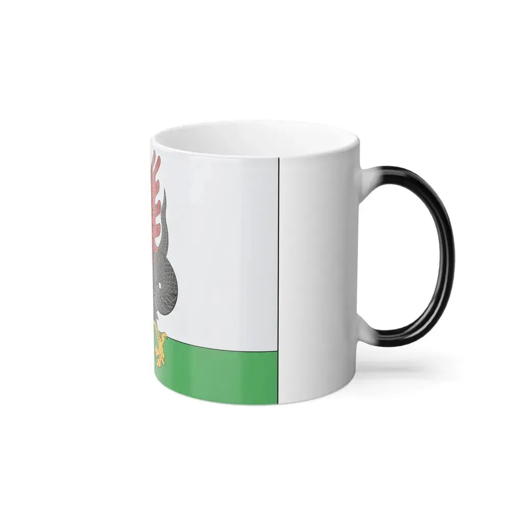 Flag of Kazan Russia - Color Changing Coffee Mug - Go Mug Yourself