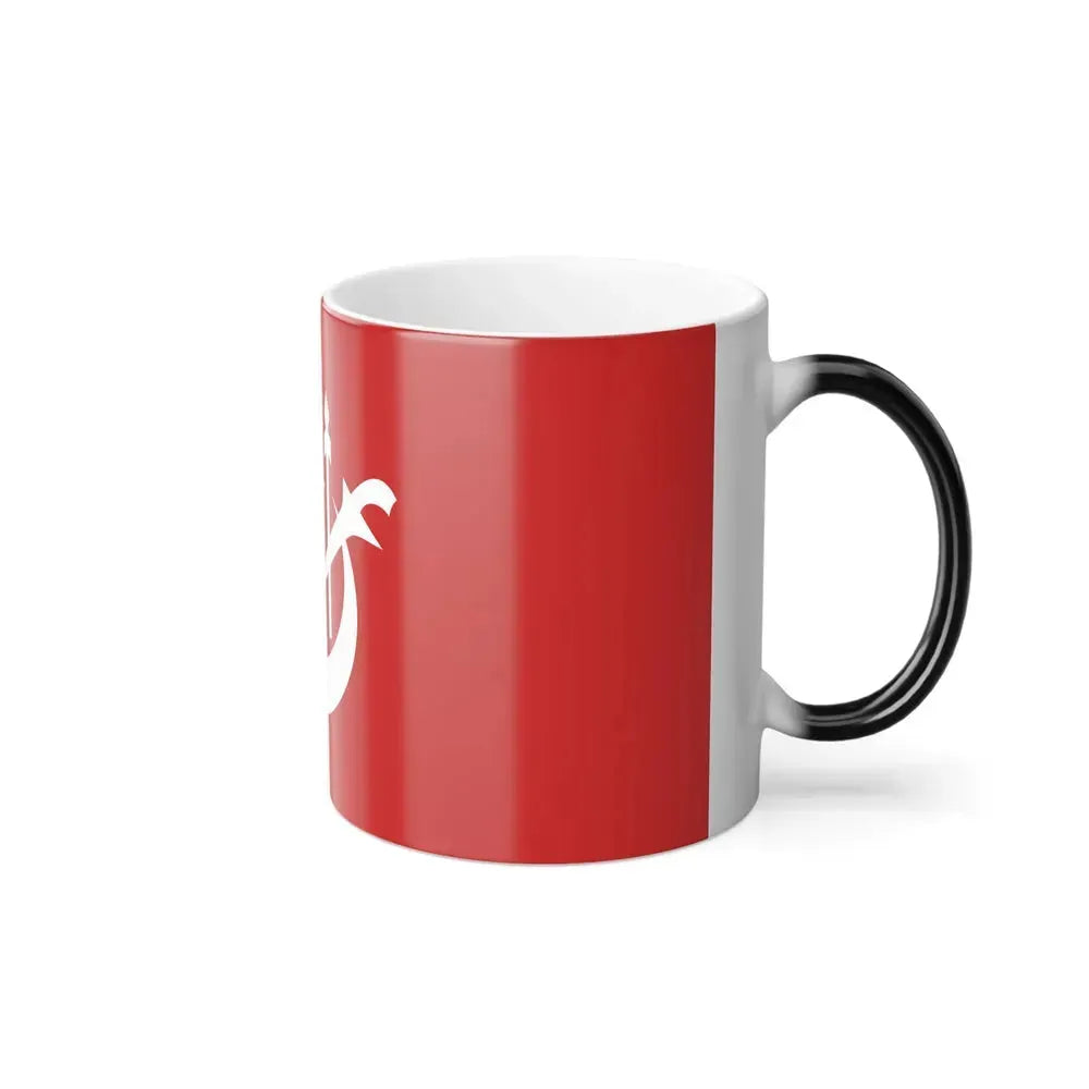 Flag of Kelantan Malaysia - Color Changing Coffee Mug - Go Mug Yourself