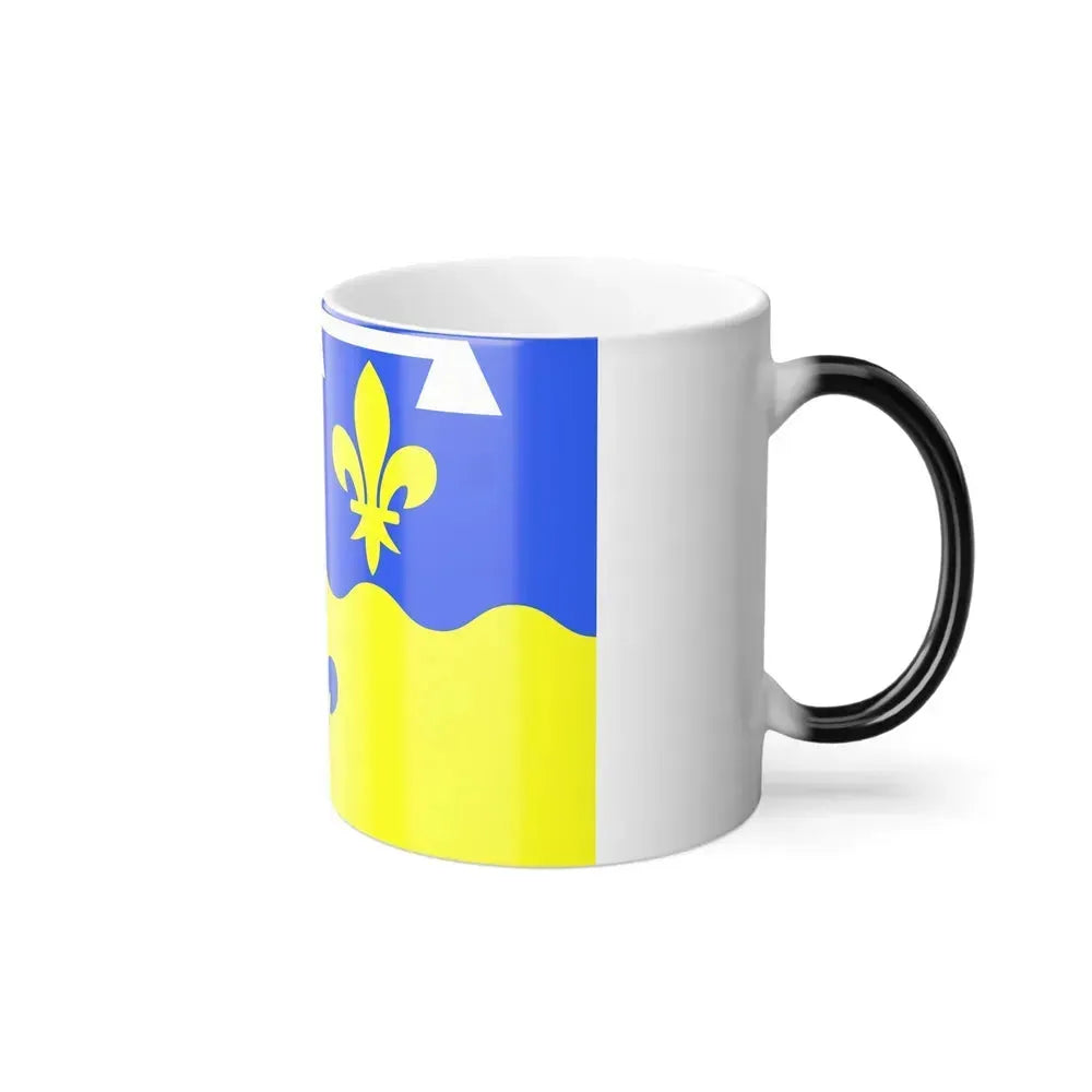 Flag of Loir et Cher France - Color Changing Coffee Mug - Go Mug Yourself